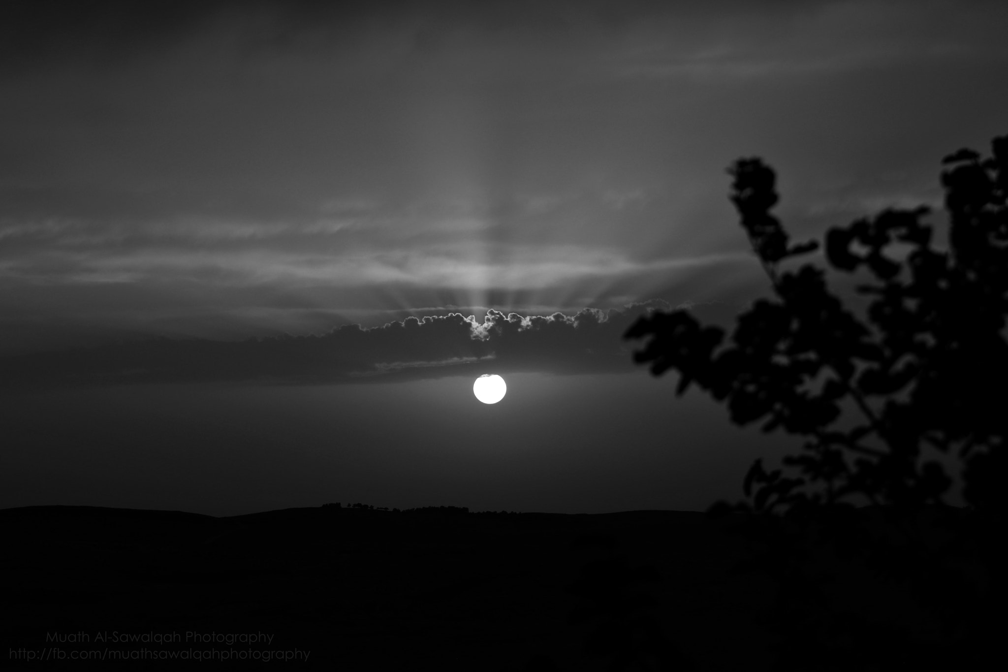 Canon EF 75-300mm f/4-5.6 sample photo