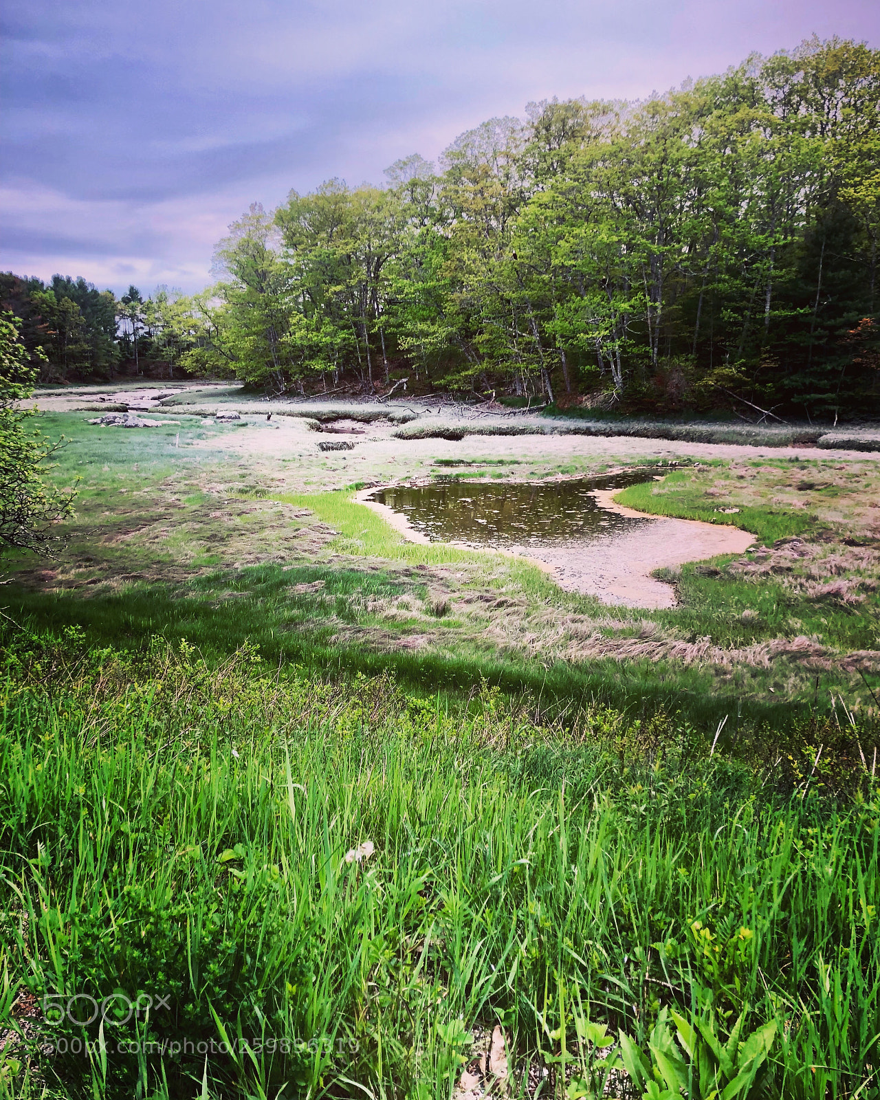 Apple iPhone X sample photo. Penobscot  photography