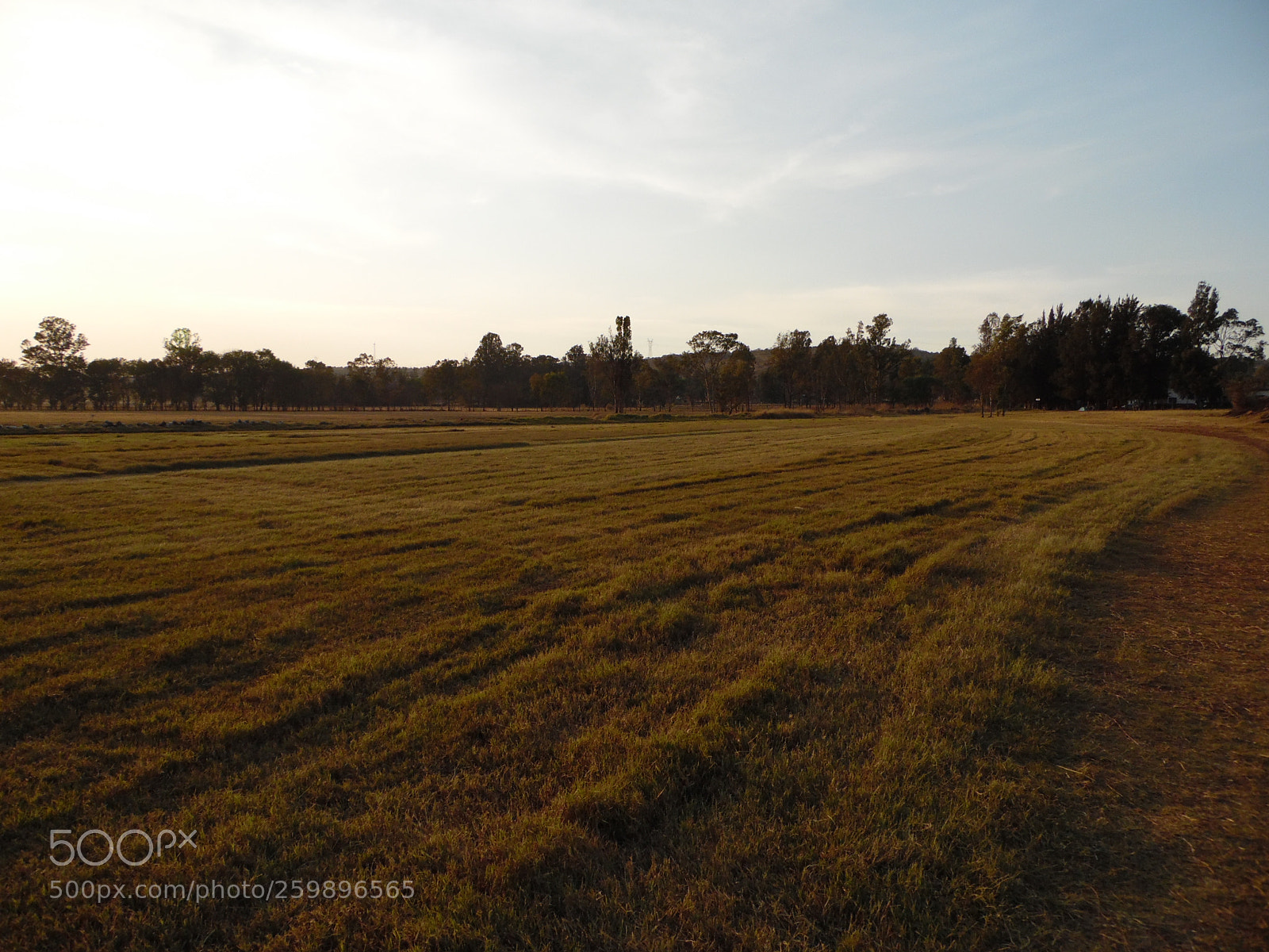 Samsung WB1100F/WB1101F/WB1102F sample photo. "campo" photography
