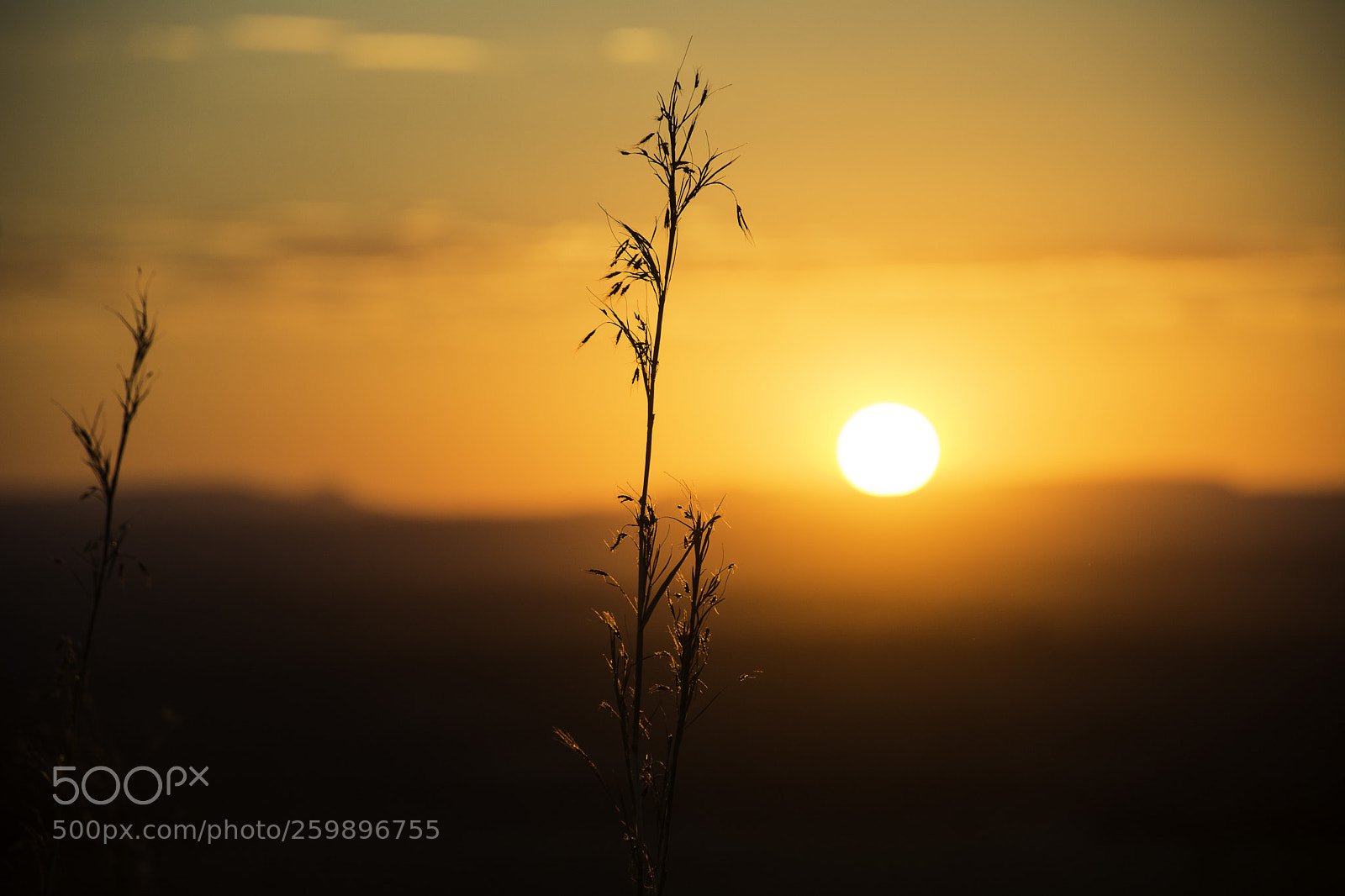 Nikon D5200 sample photo. Sunset photography