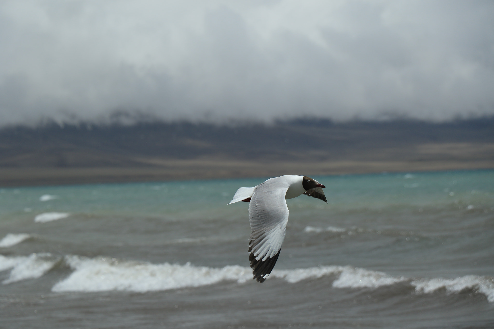 Canon EOS 7D Mark II sample photo