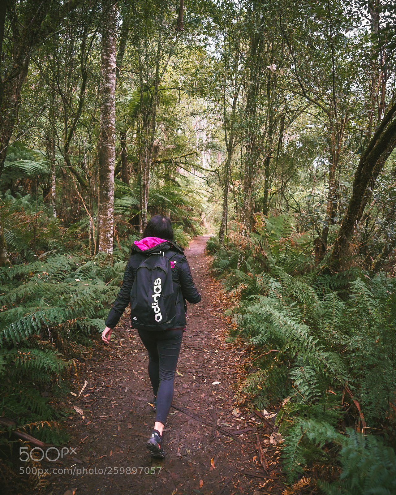 Sony a7 II sample photo. Mandatory early morning hike photography