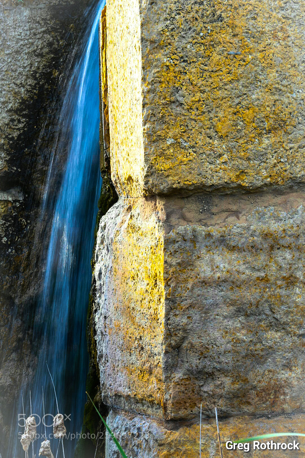 Nikon D500 sample photo. Day at the park photography