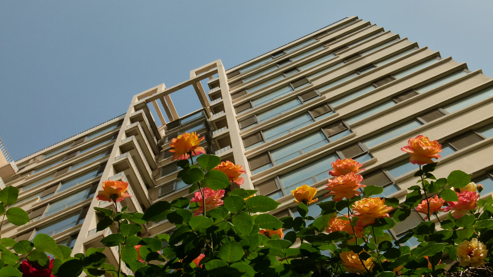 Leica V-Lux 2 sample photo