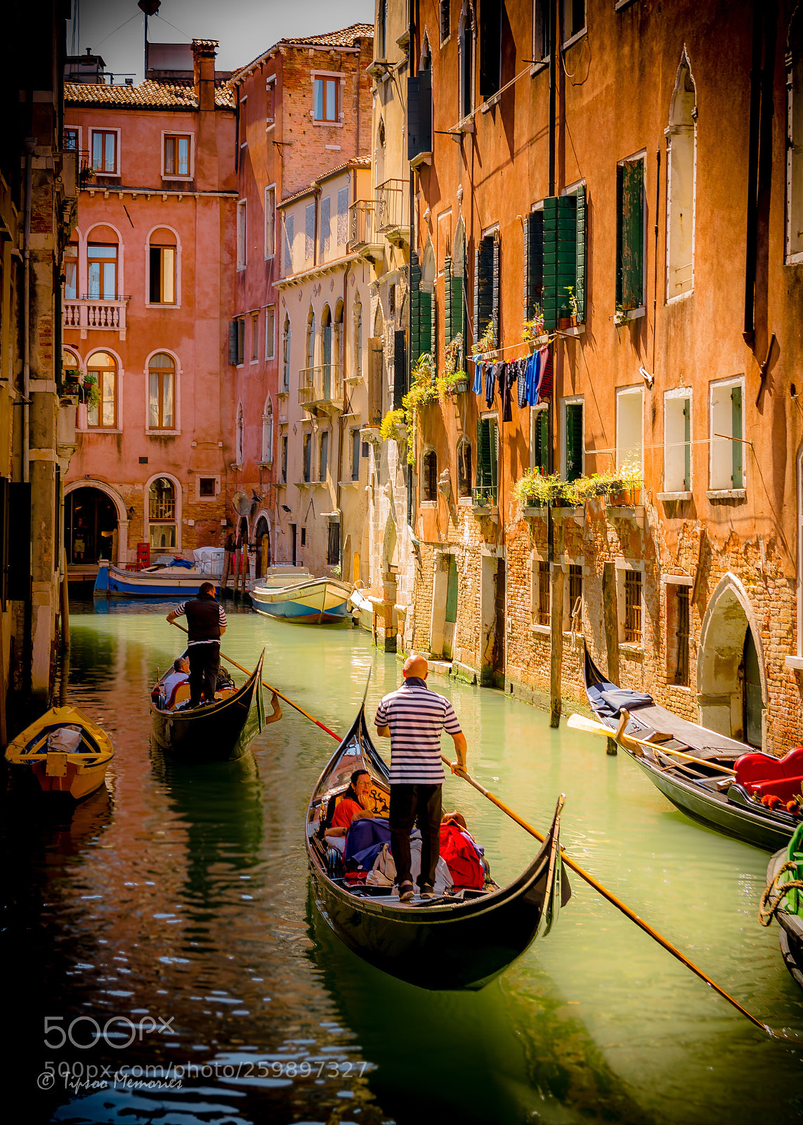 Nikon D750 sample photo. Sweet venice  photography