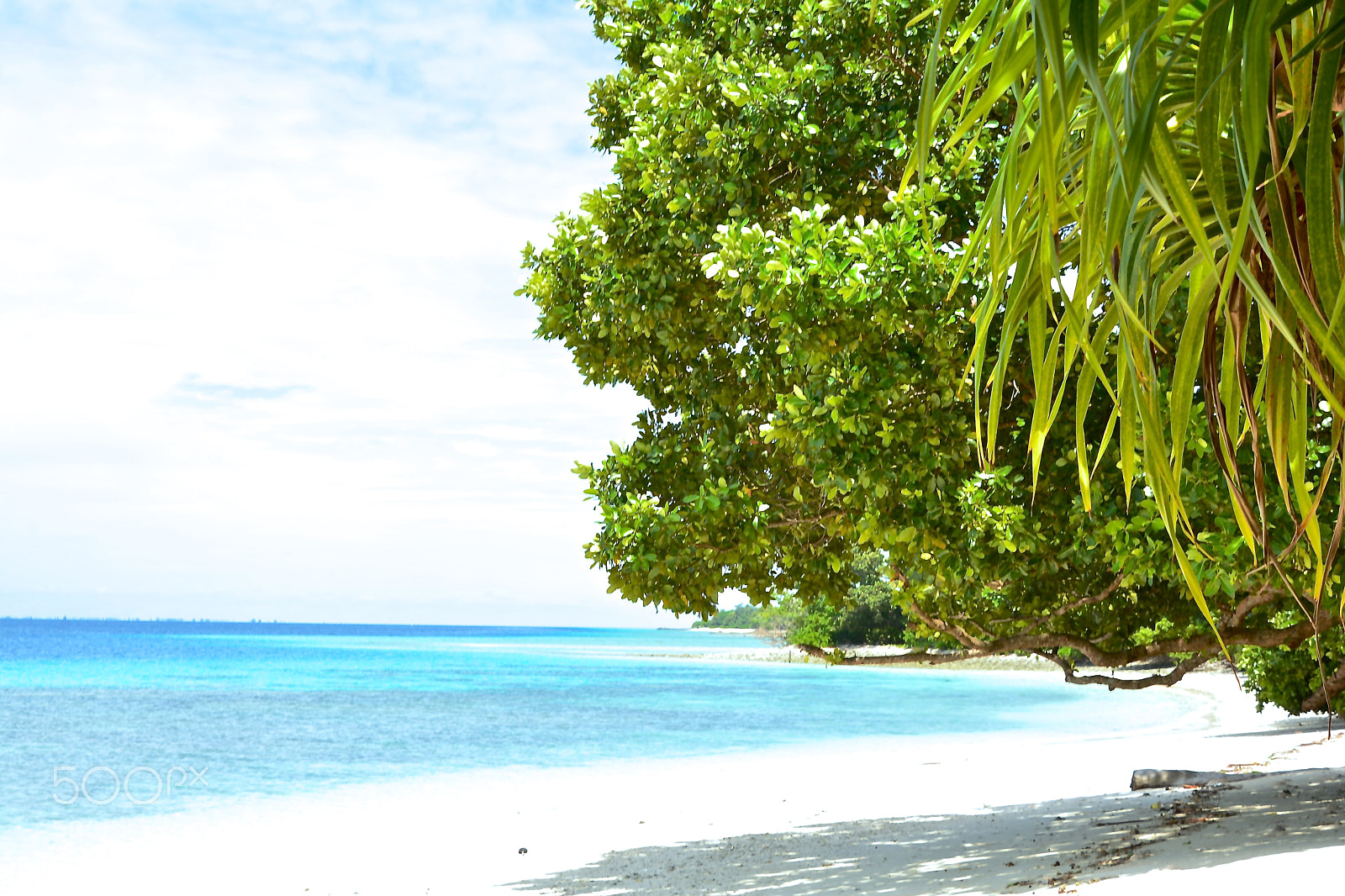 Nikon D7100 sample photo. Marshall islands c max photography