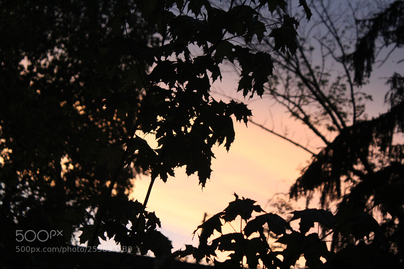 Canon EOS 1200D (EOS Rebel T5 / EOS Kiss X70 / EOS Hi) sample photo. Img photography