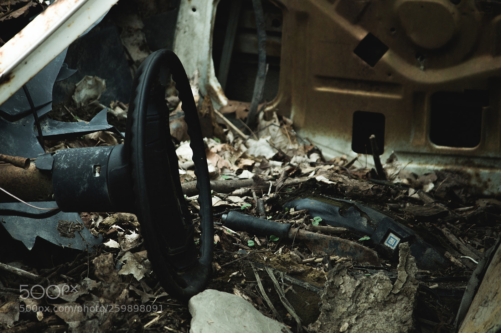 Canon EOS 700D (EOS Rebel T5i / EOS Kiss X7i) sample photo. The last of us photography