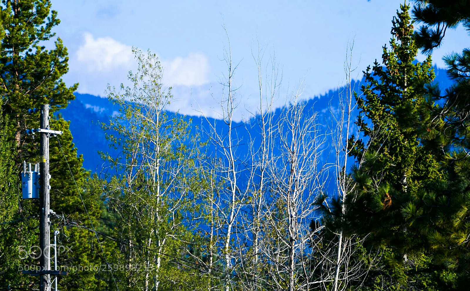 Nikon D500 sample photo. Lake tahoe, california photography