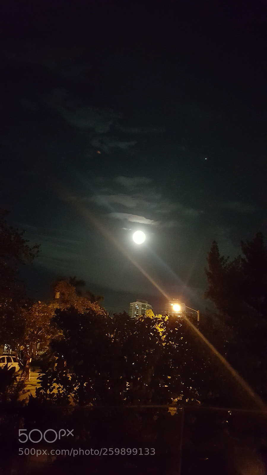 Samsung Galaxy Note5 sample photo. Untitled photography