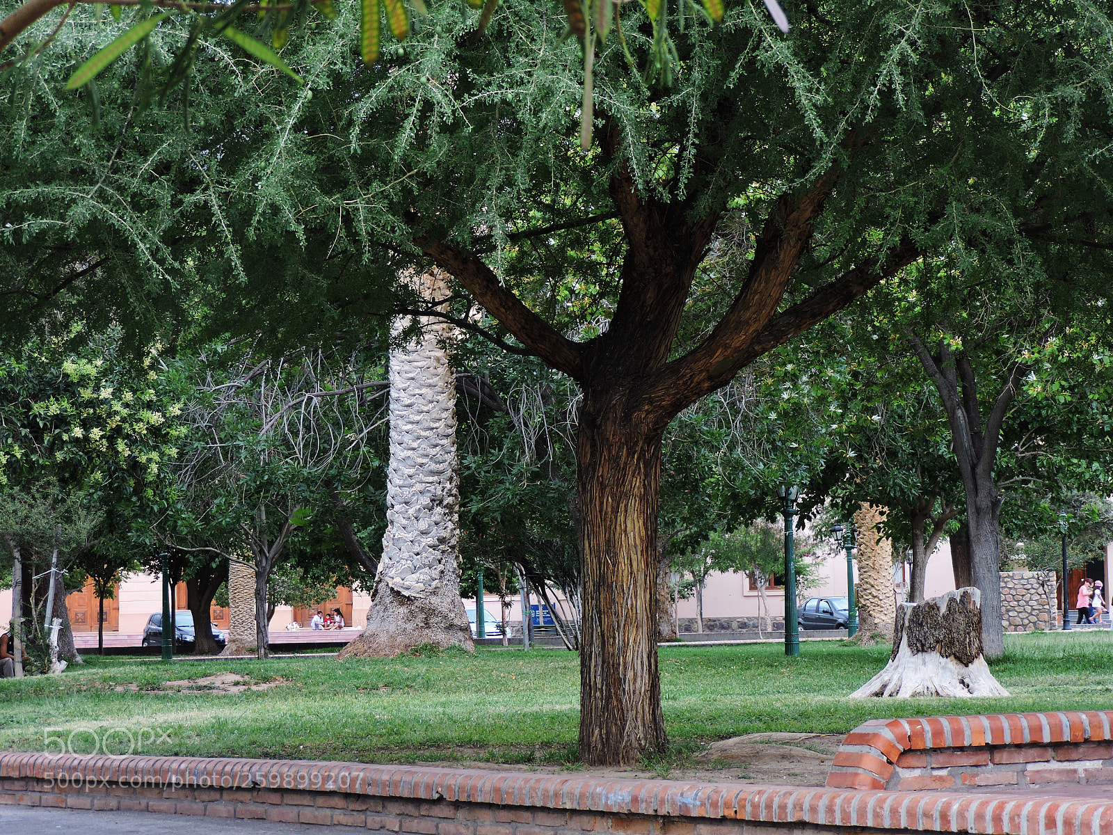Nikon Coolpix P530 sample photo. Cafayate square photography