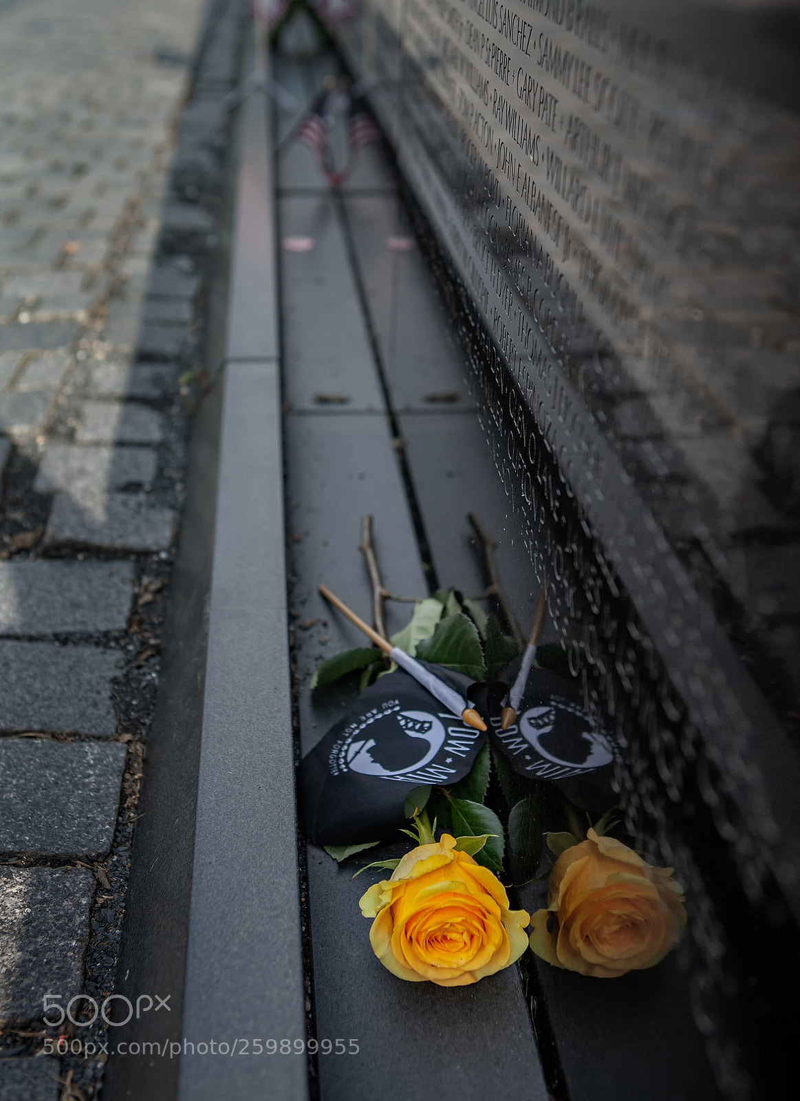 Canon EOS 5D Mark II sample photo. Memorial day in washington photography