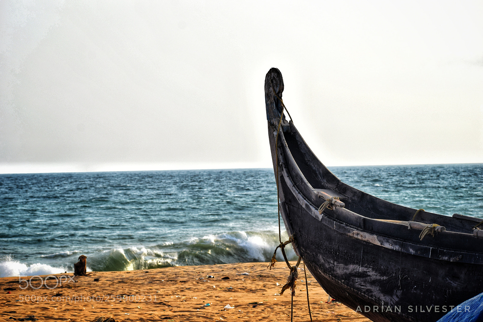 Nikon D5300 sample photo. Wooden boat along the photography