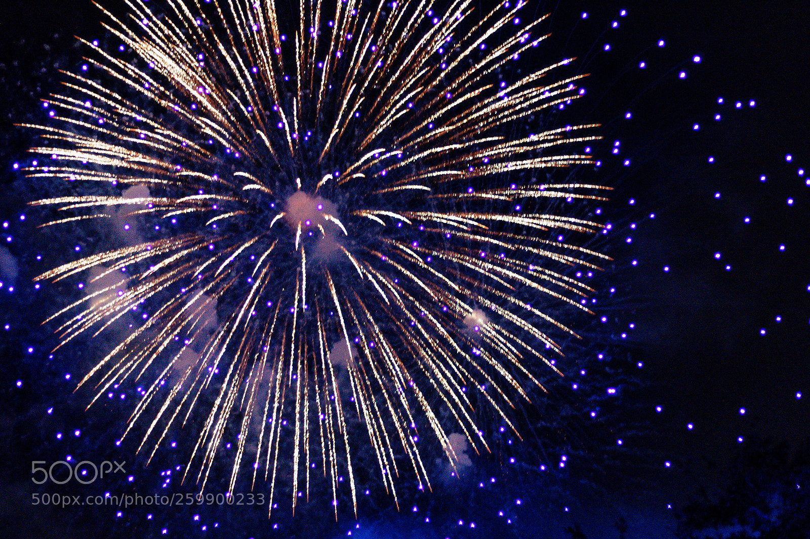 Canon EOS 1300D (EOS Rebel T6 / EOS Kiss X80) sample photo. Magic kingdom firework  photography