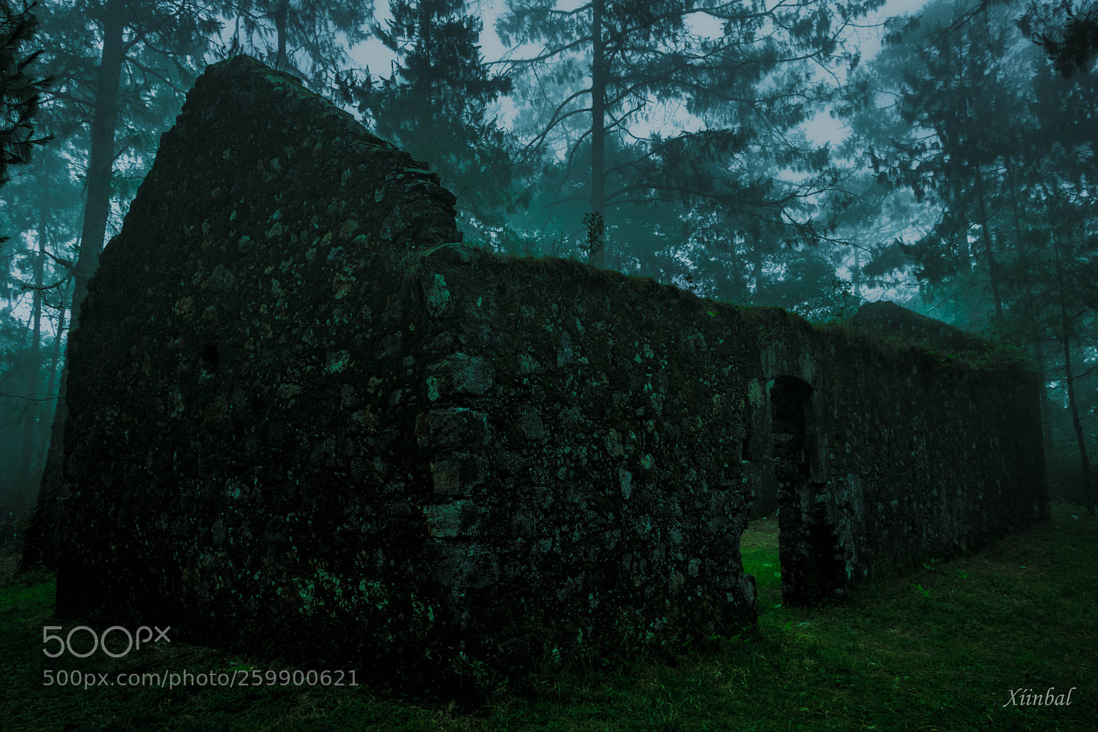Nikon D3300 sample photo. El fuerte del bosque photography