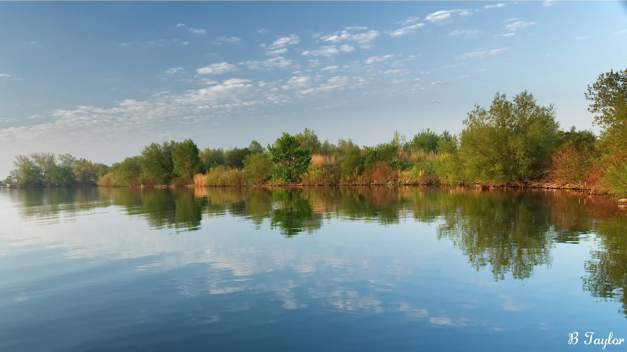 Sony SLT-A57 sample photo. Cloud trees reflections photography