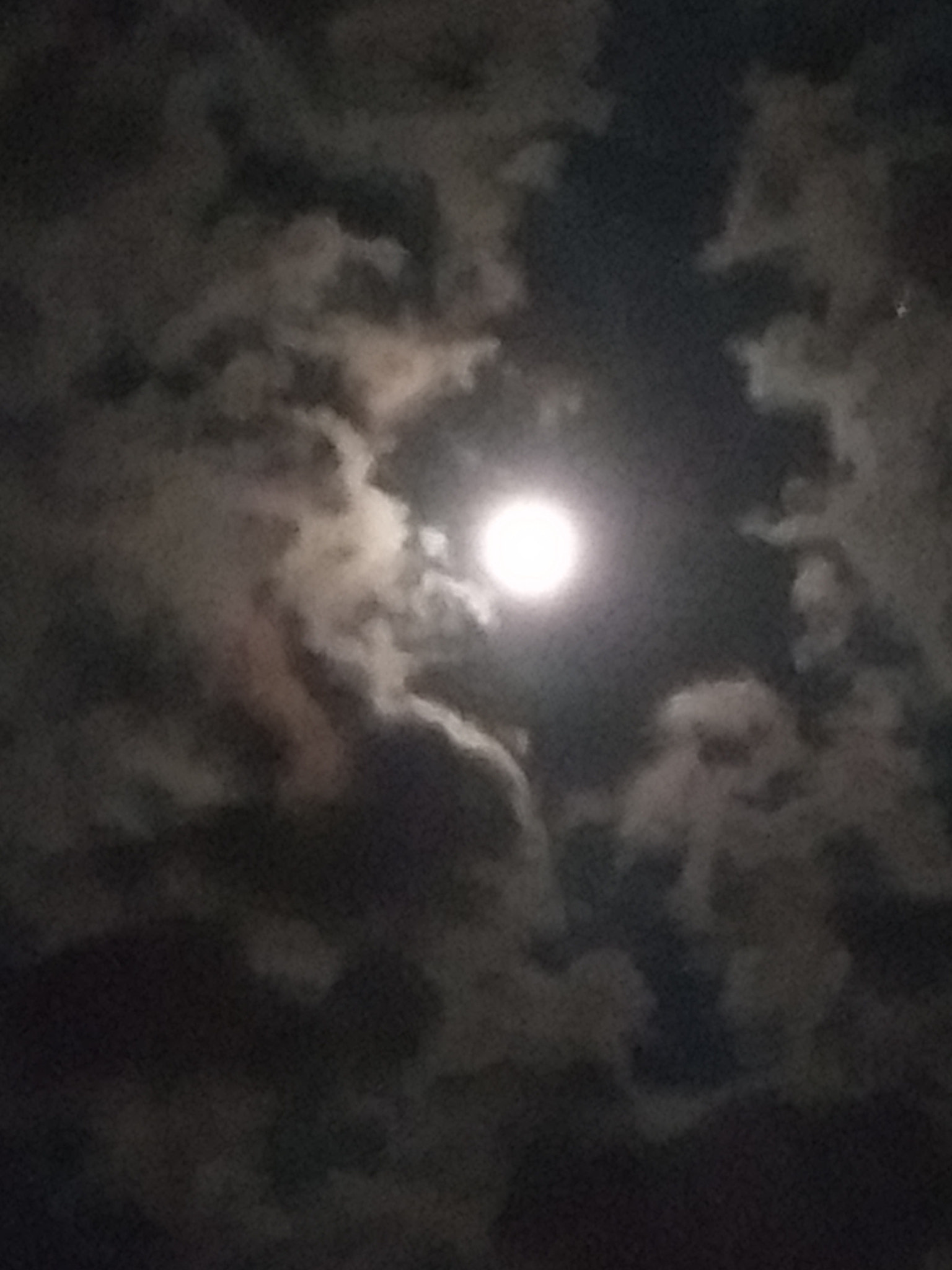 Motorola Moto G (5th Gen) sample photo