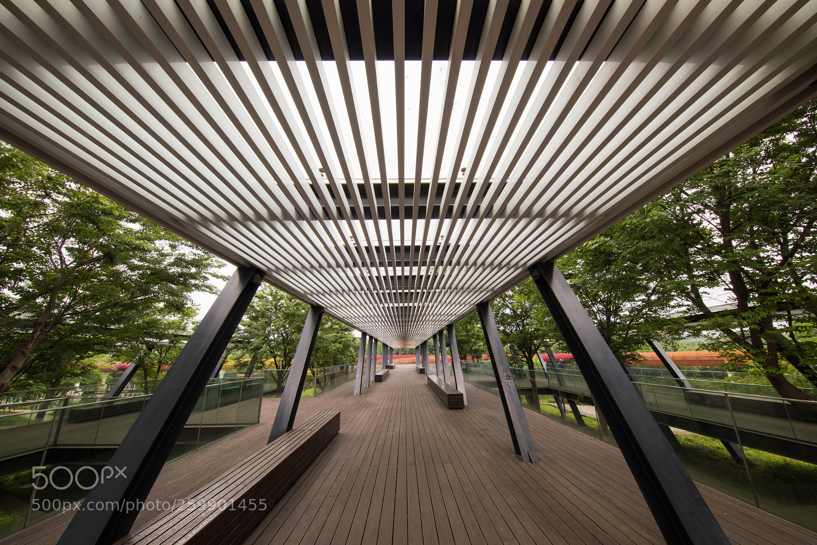 Nikon D810 sample photo. Wider than wide, by photography