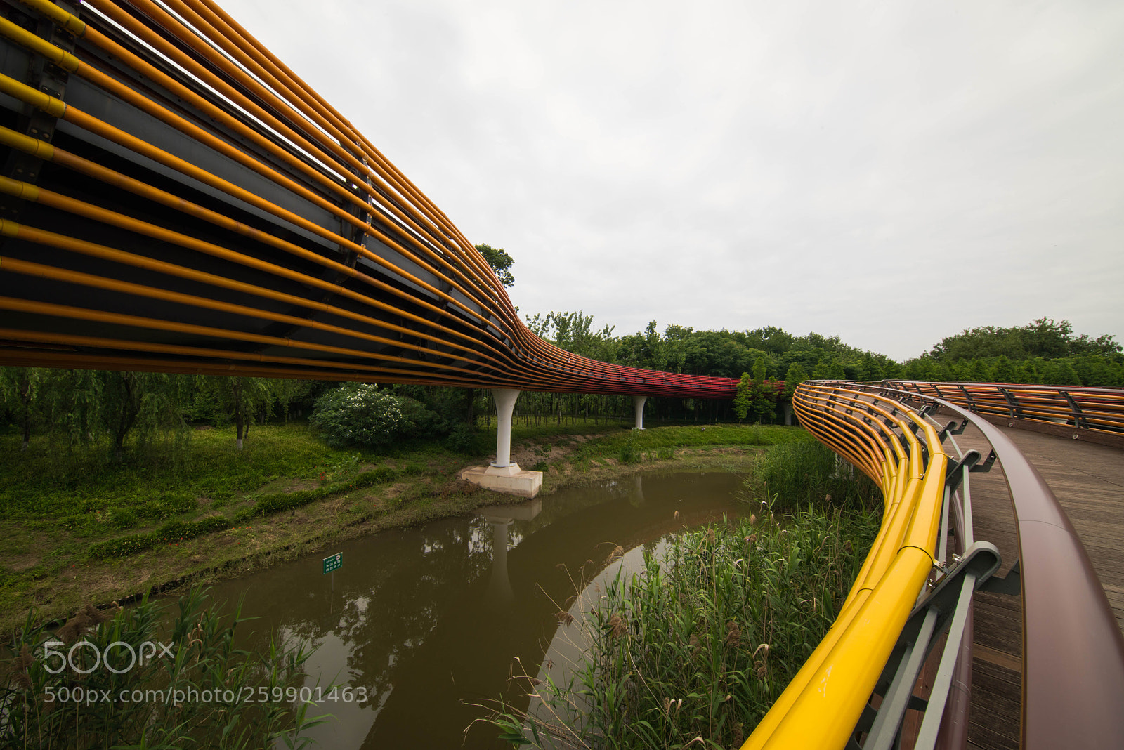 Nikon D810 sample photo. Wider than wide, a photography