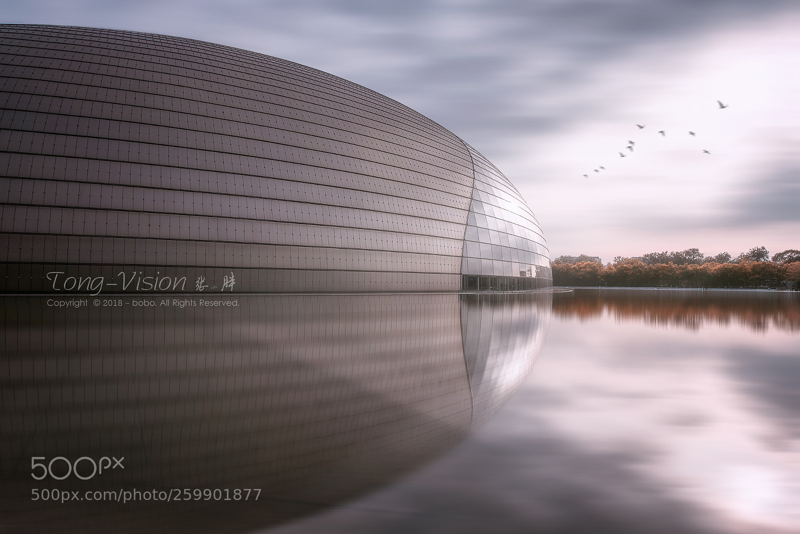Nikon D750 sample photo. The national theatre of photography