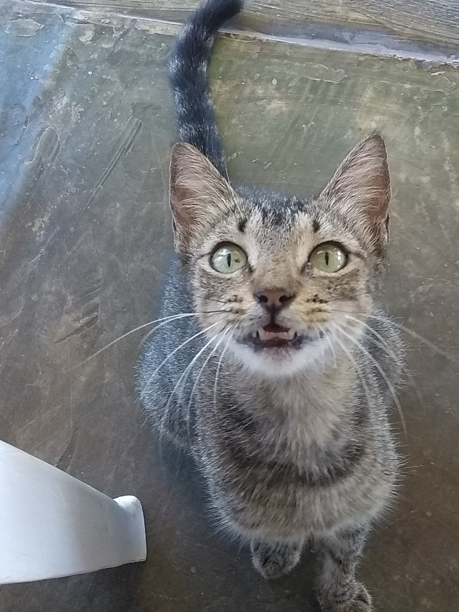 Motorola Moto G (5th Gen) sample photo