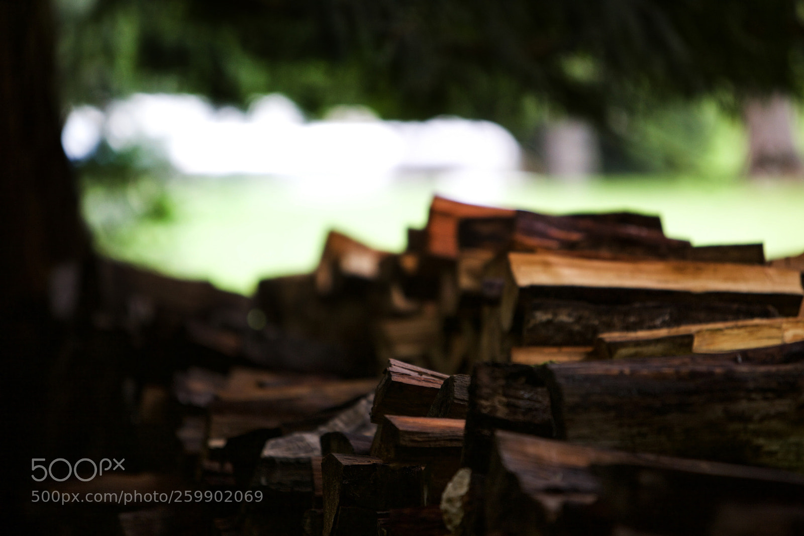 Canon EOS 5D Mark II sample photo. Private property photography
