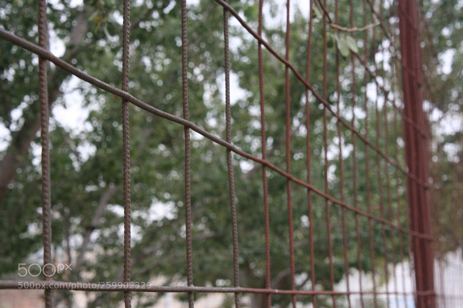 Canon EOS 350D (EOS Digital Rebel XT / EOS Kiss Digital N) sample photo. Untitled photography