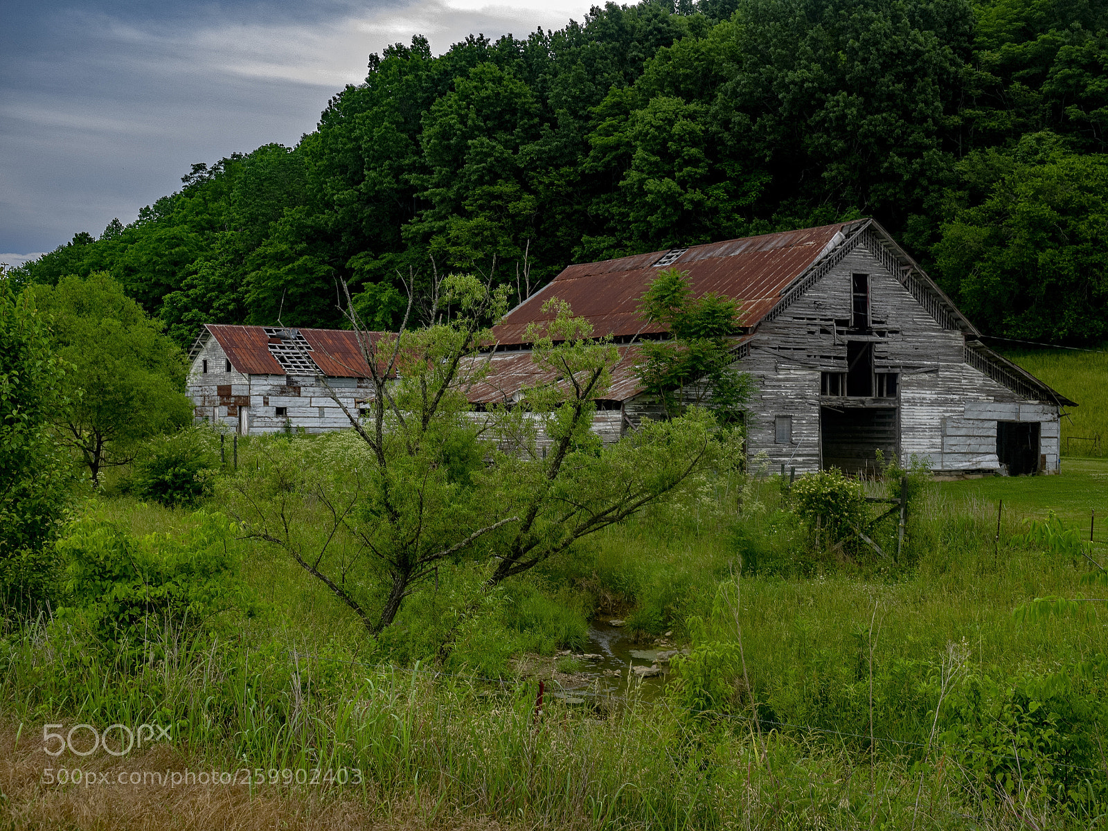 Olympus OM-D E-M1 sample photo. Lonely barns photography