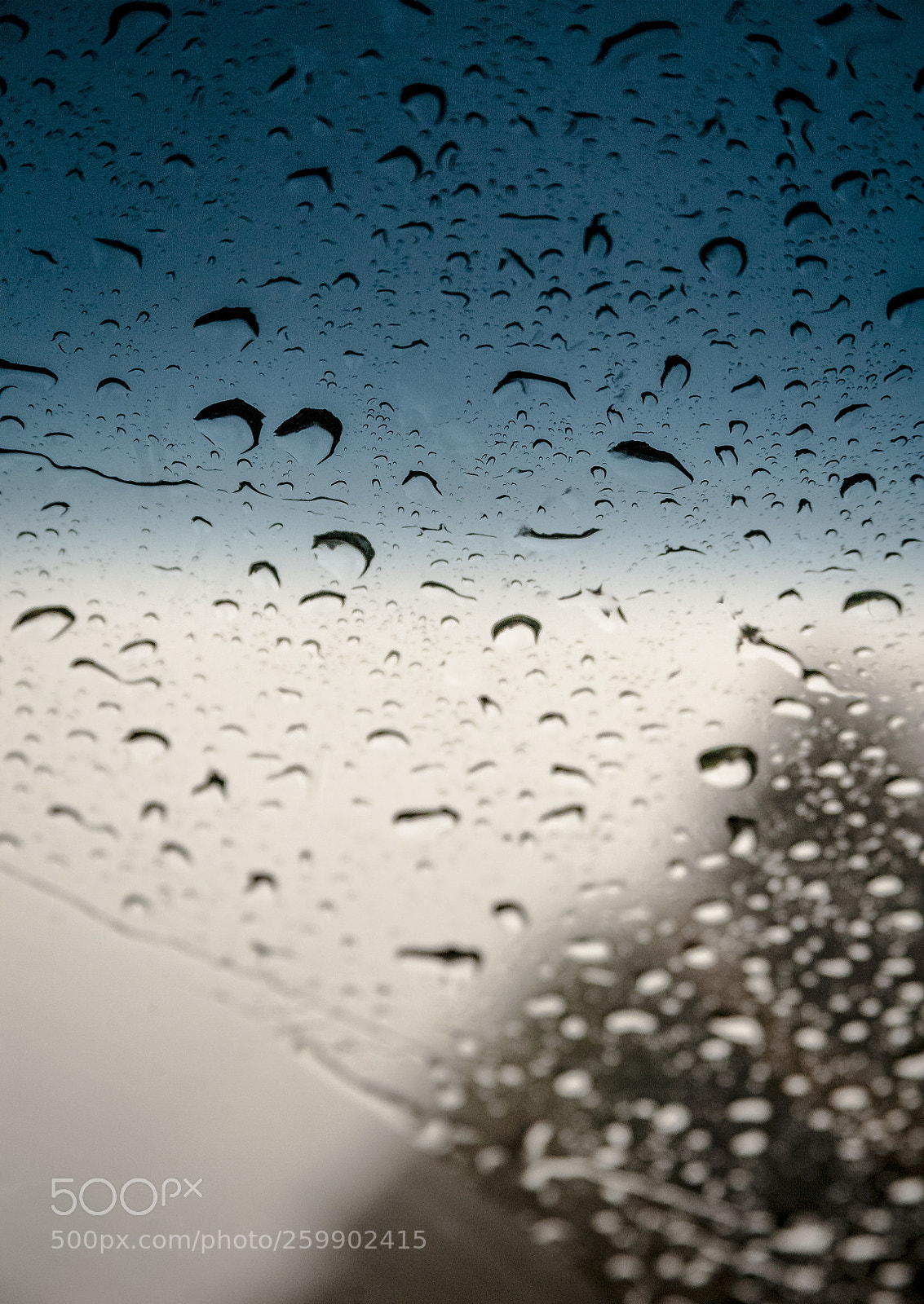 Canon EOS 5D sample photo. Rain drops photography