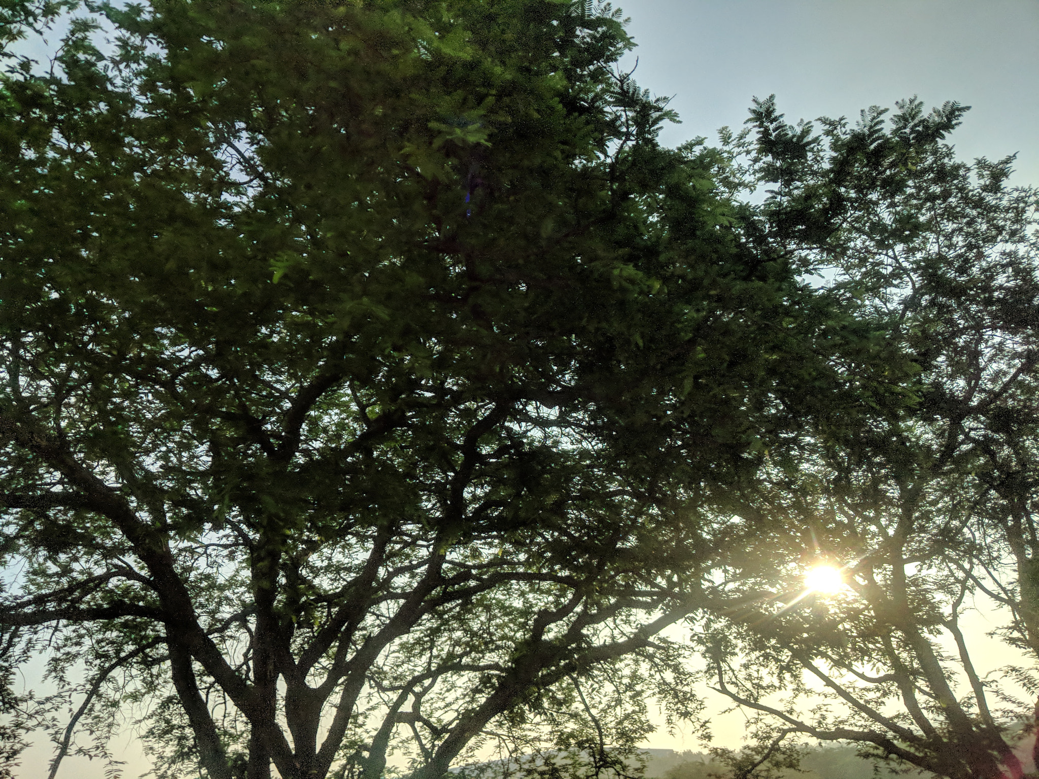 Google Pixel 2 XL sample photo. Sunny morning photography