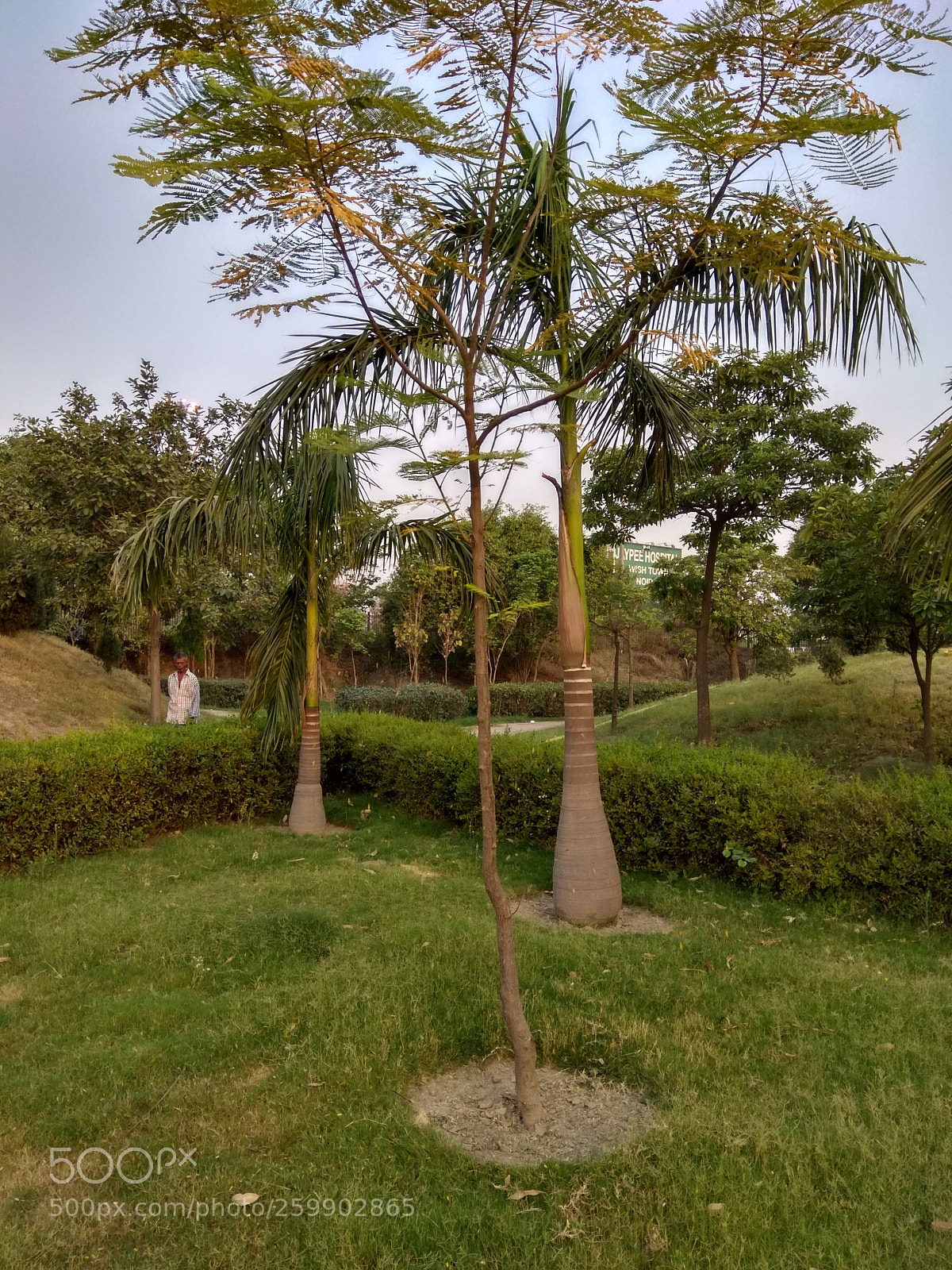 Xiaomi Redmi Note 4 sample photo. Untitled photography