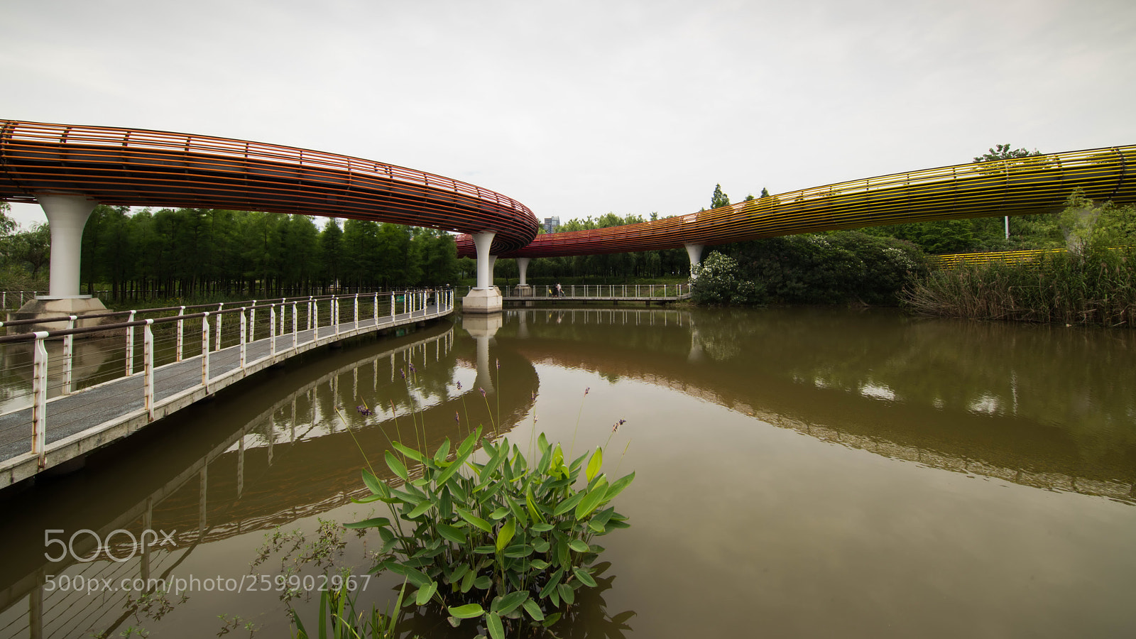 Nikon D810 sample photo. Wider than wide, a photography