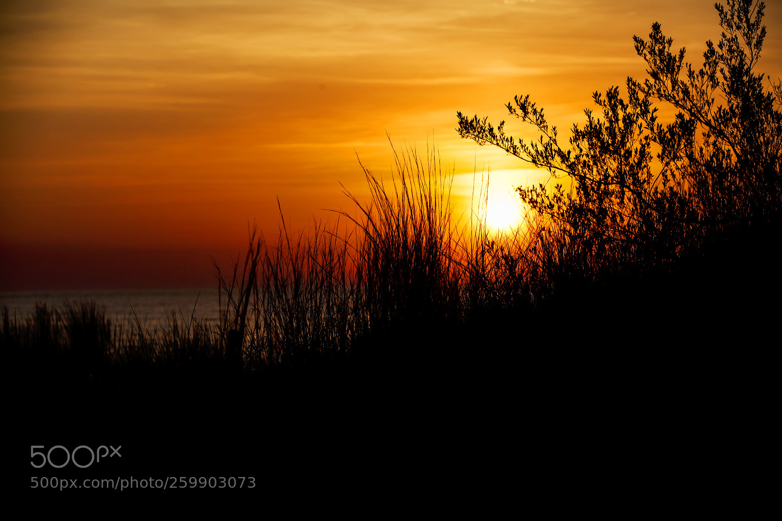 Canon EOS 5D Mark II sample photo. Beautiful sunset at lake photography