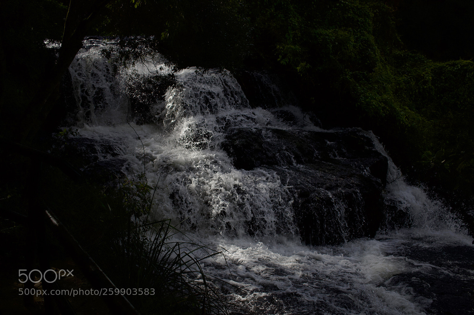 Canon EOS 700D (EOS Rebel T5i / EOS Kiss X7i) sample photo. Caracol photography
