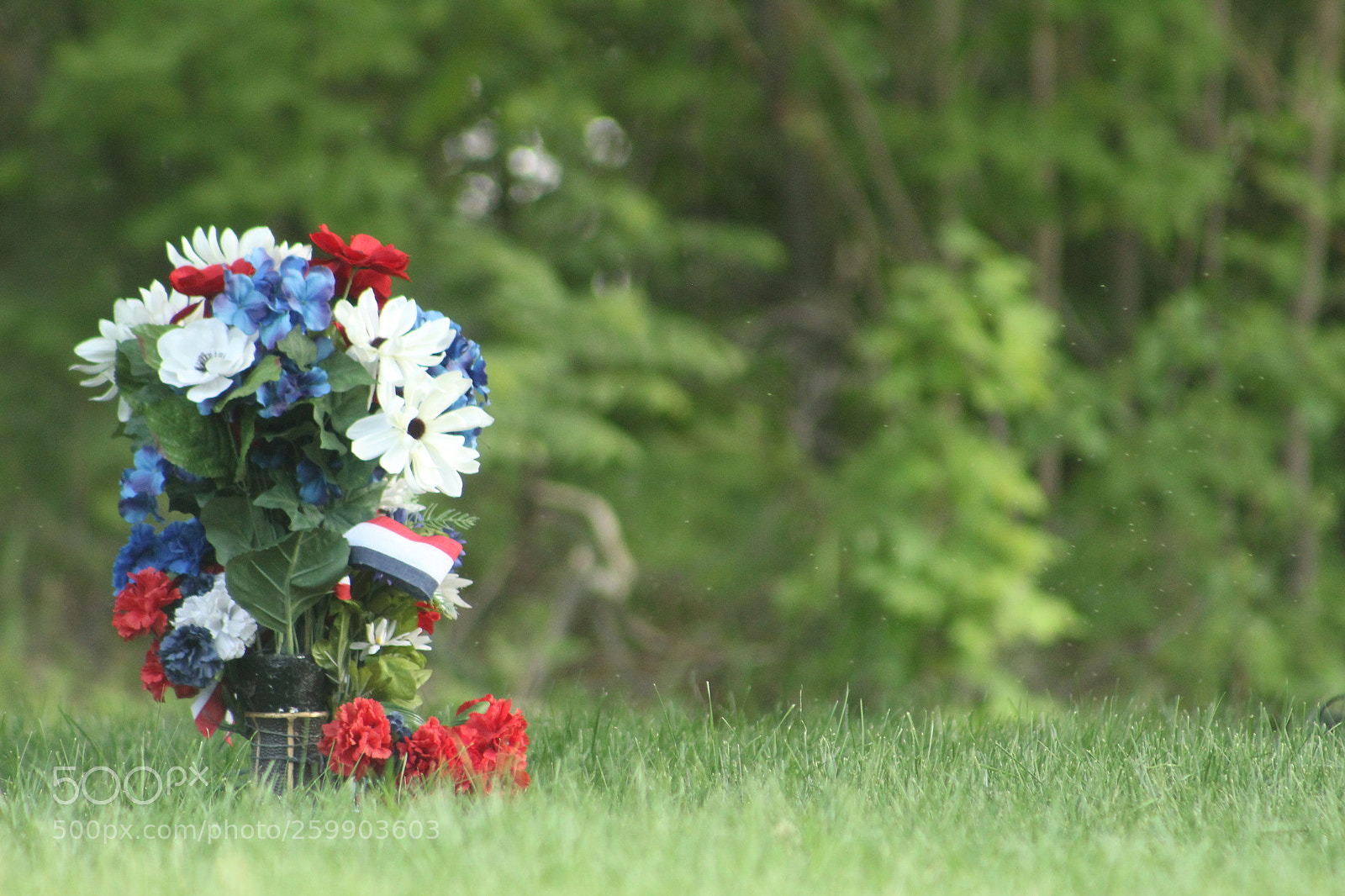 Canon EF 75-300mm f/4-5.6 sample photo. Vase full of flowers. photography