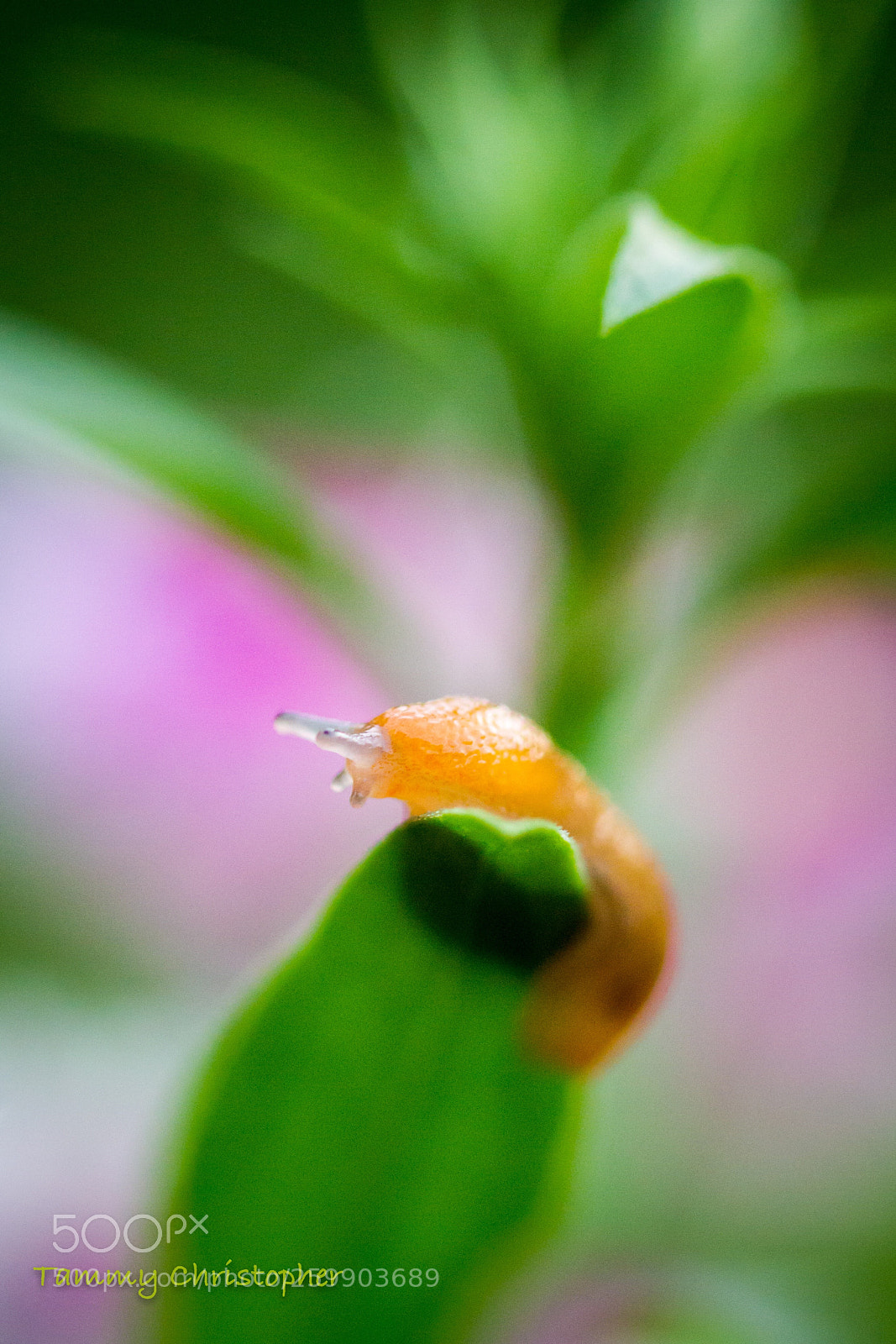 Canon EOS 7D sample photo. Untitled photography