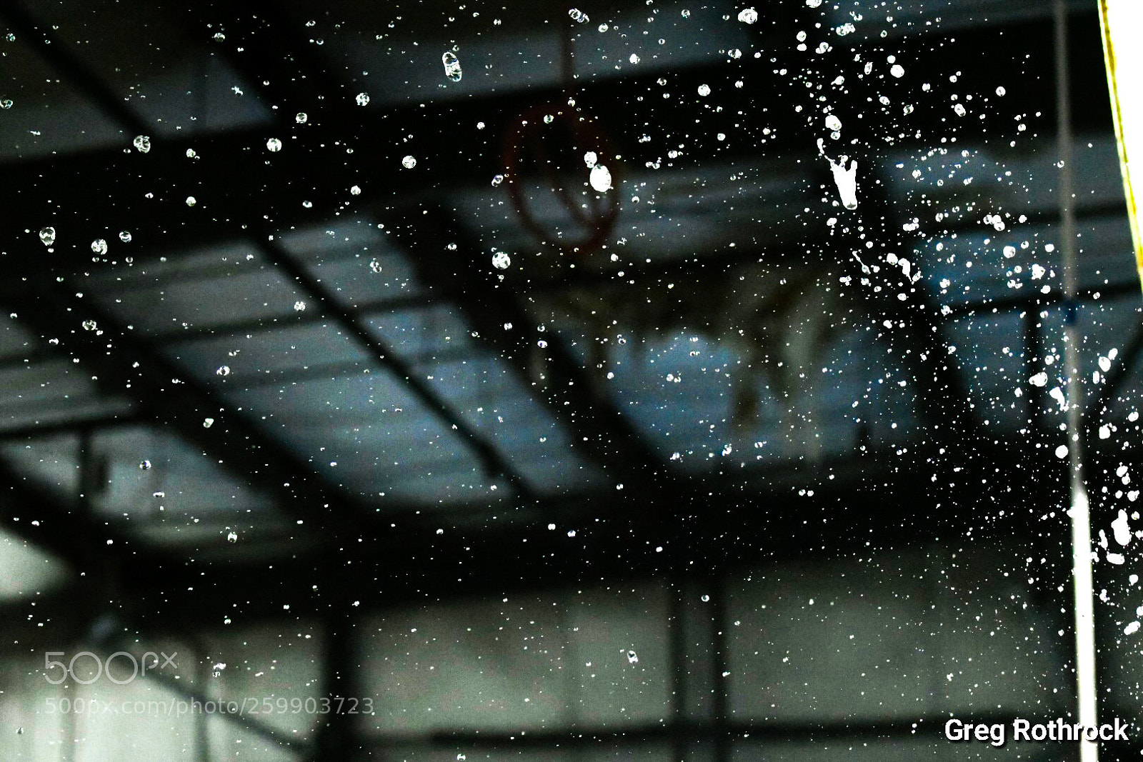 Nikon D500 sample photo. Water droplets photography