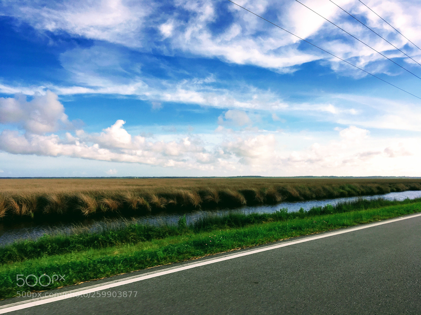 Apple iPhone SE sample photo. Cedar island drive photography