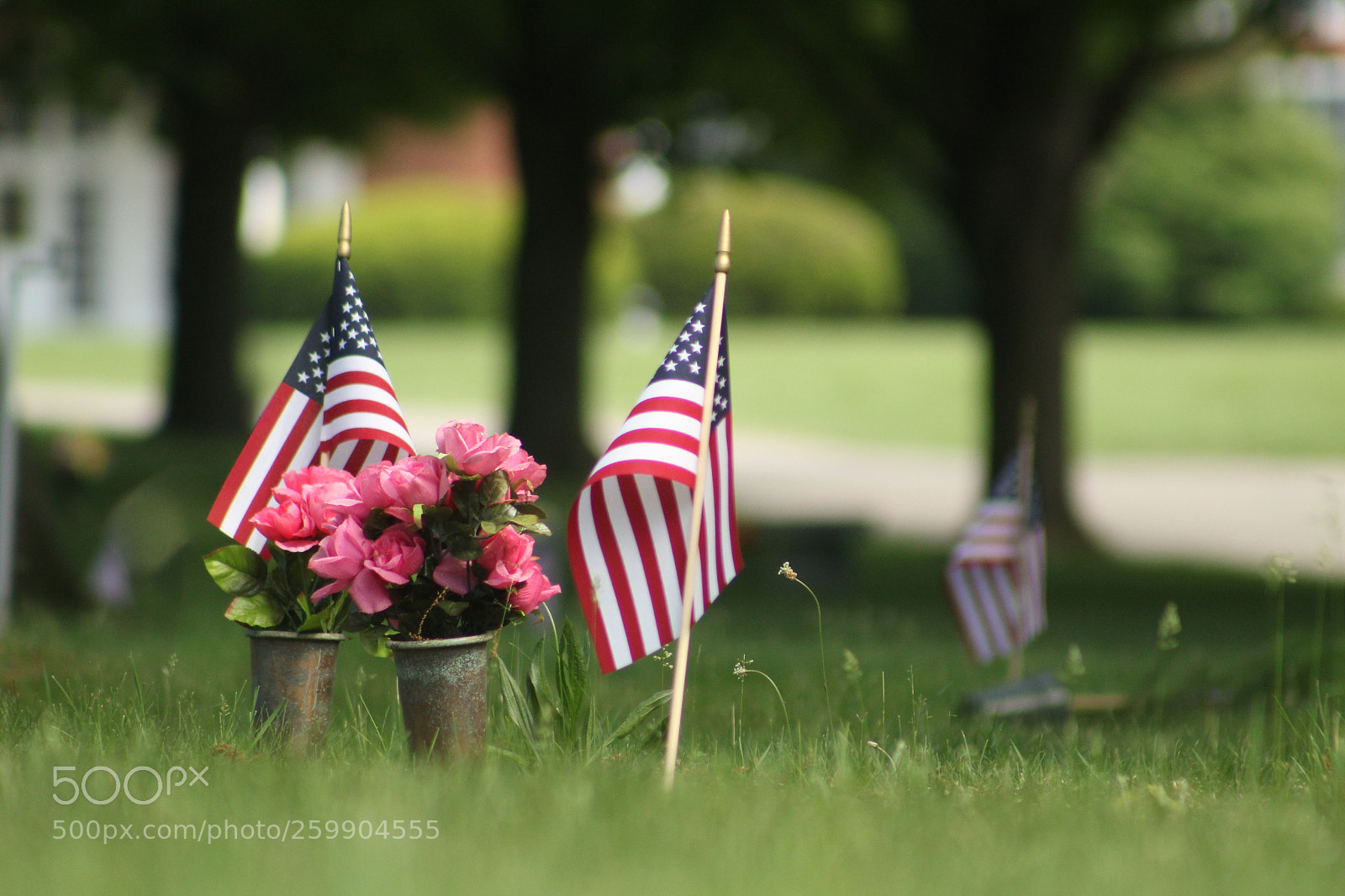 Canon EF 75-300mm f/4-5.6 sample photo. Flags and flowers at photography