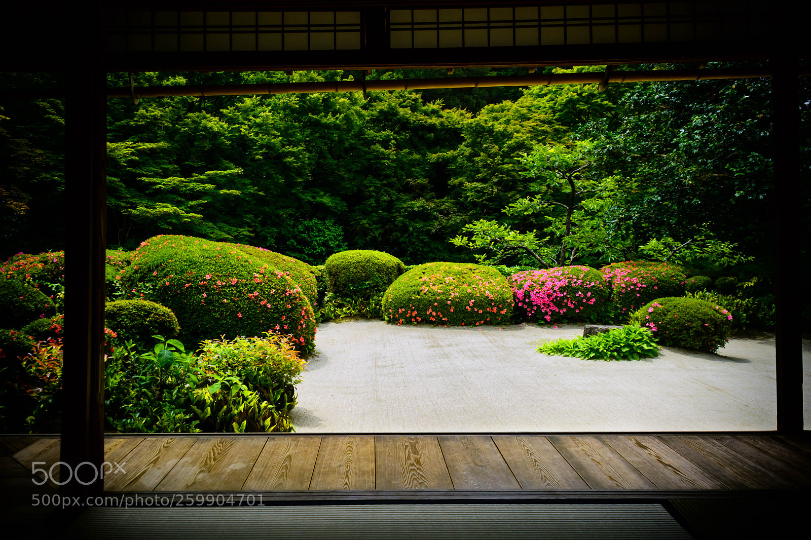 Nikon D5200 sample photo. 皐月咲く庭（詩仙堂） photography