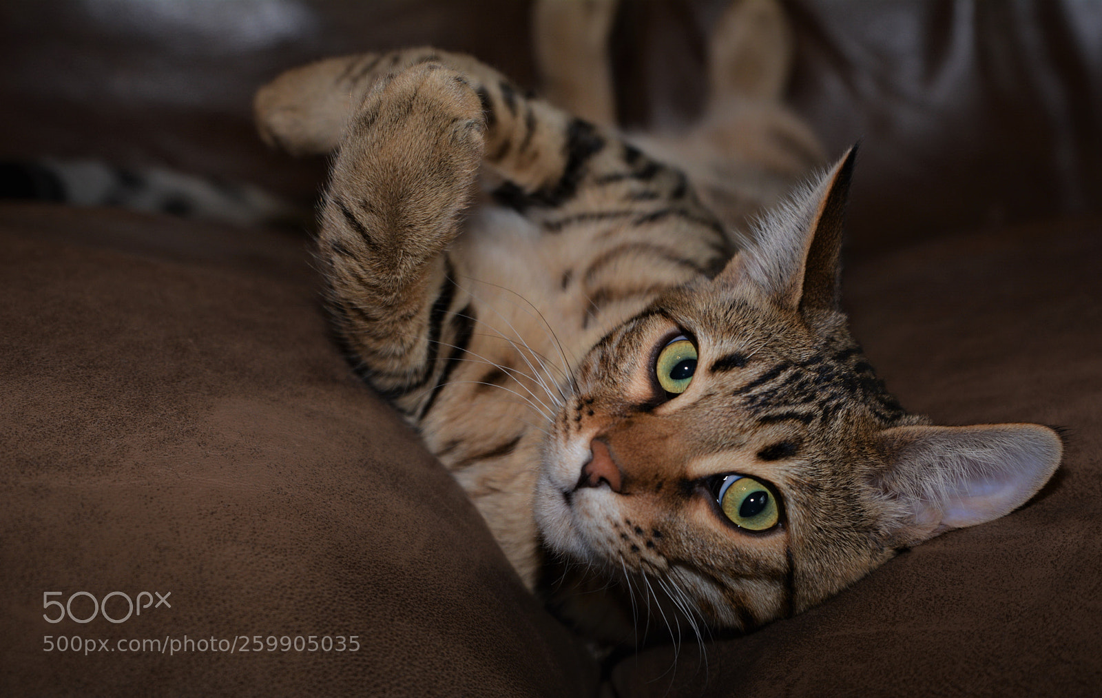 Nikon D5200 sample photo. Oh, was this your photography