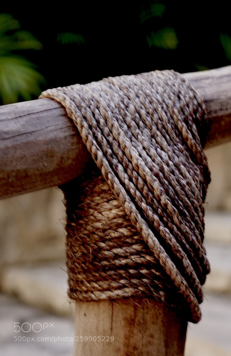 Sony a7 II sample photo. The glue  photography