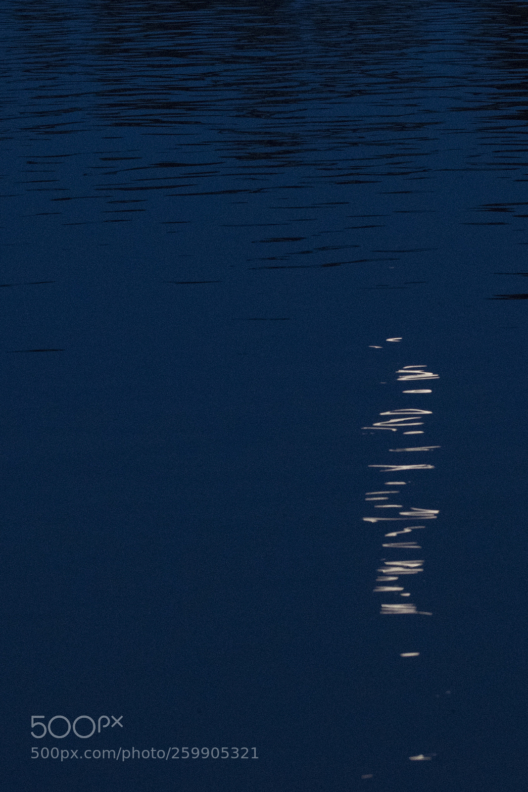 Nikon D7500 sample photo. Moonlight on the river photography