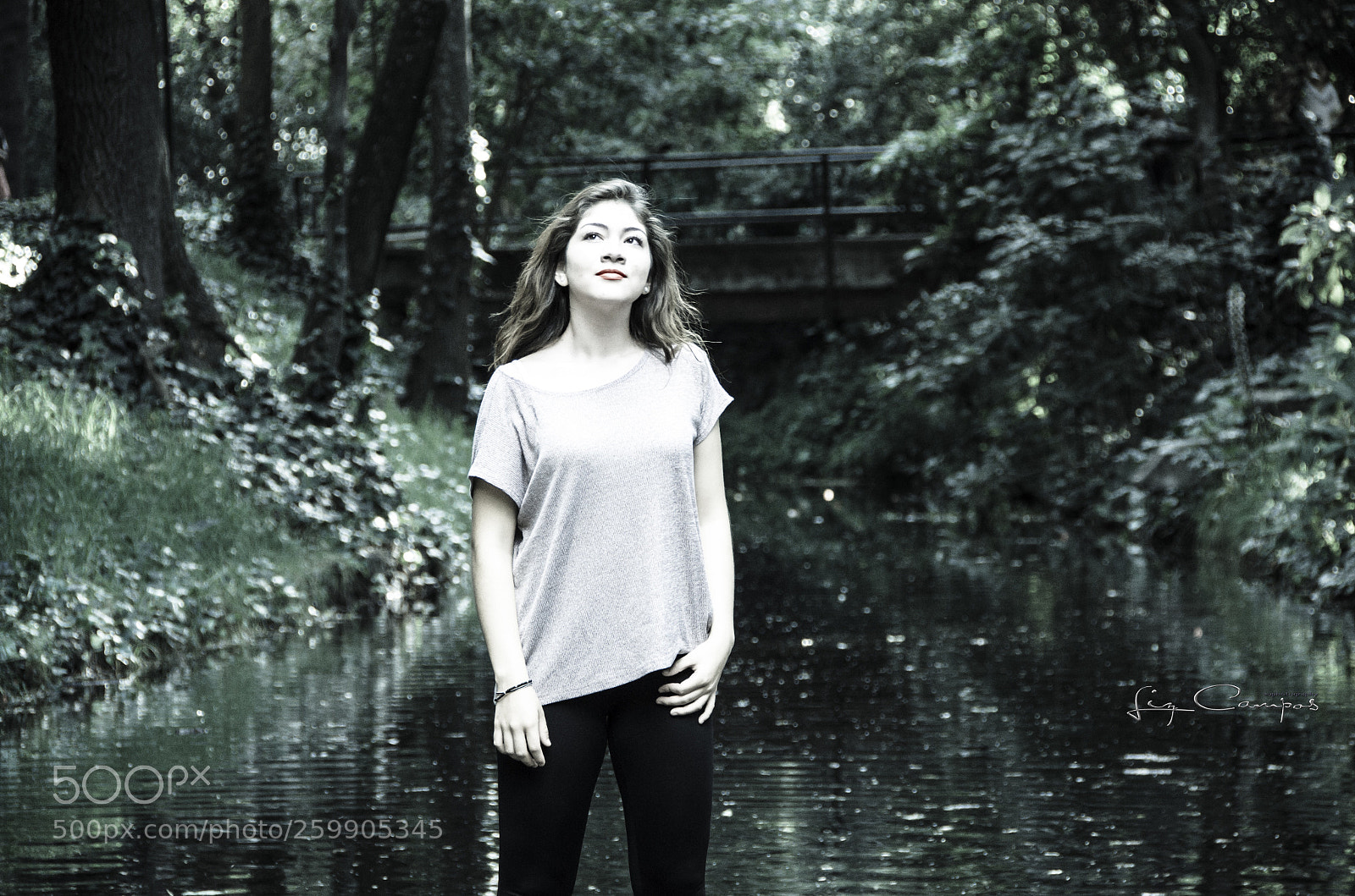 Nikon D5100 sample photo. Untitled photography