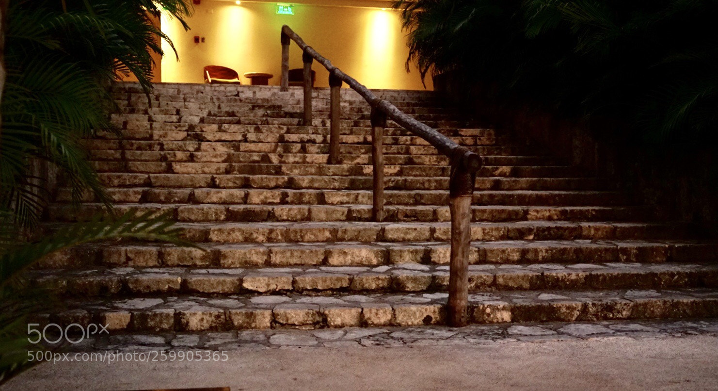 Sony a7 II sample photo. It will take you photography