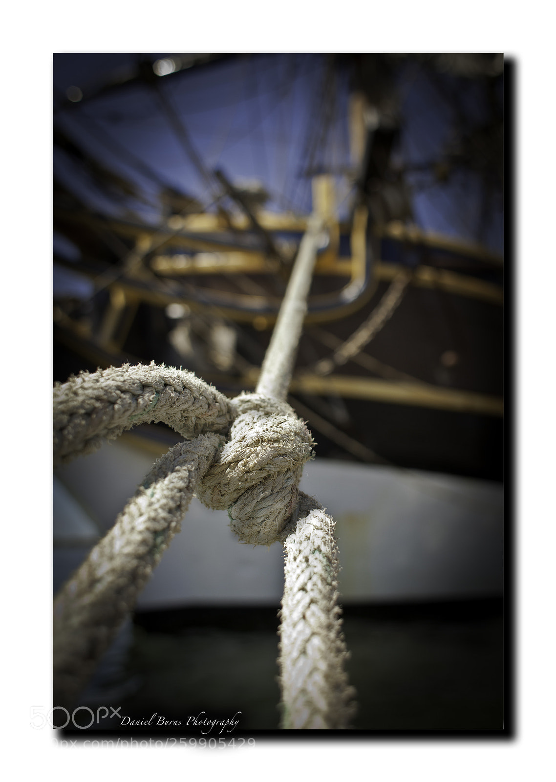 Canon EOS 5D Mark II sample photo. Tied down photography