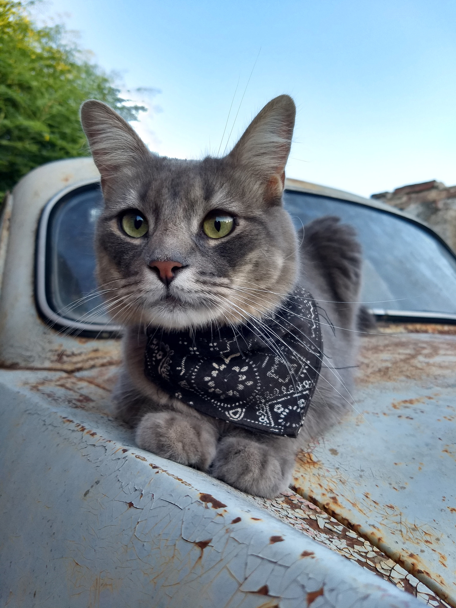 Motorola Moto G (5) Plus sample photo