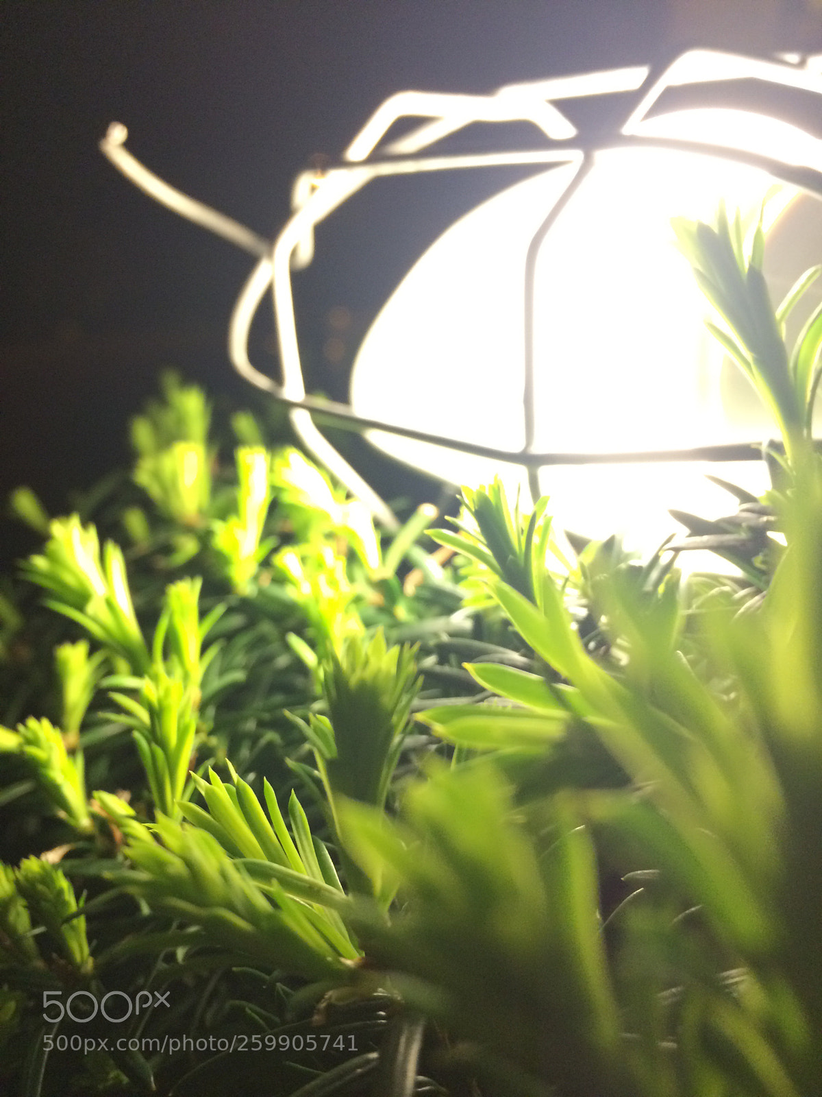 Apple iPhone 5s sample photo. Do you guys like photography