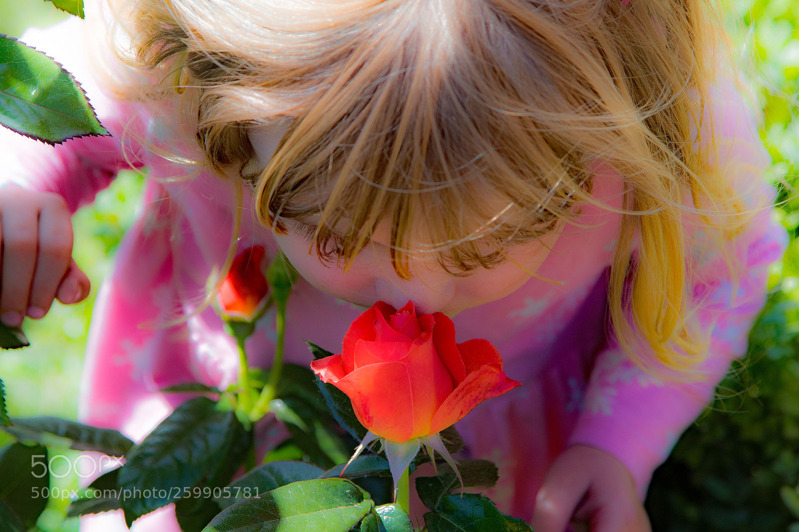 Canon EOS 7D Mark II sample photo. Stop and smell the photography