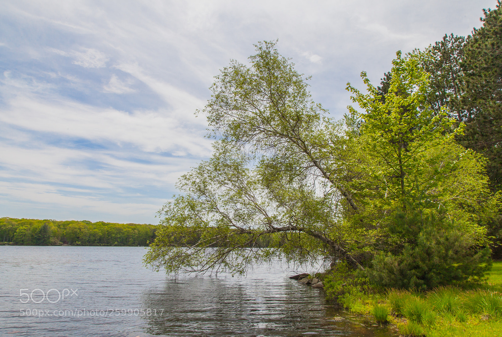 Canon EOS 5D Mark II sample photo. Hanging over wolf lake photography